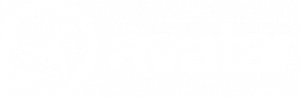 avatarquebec logo