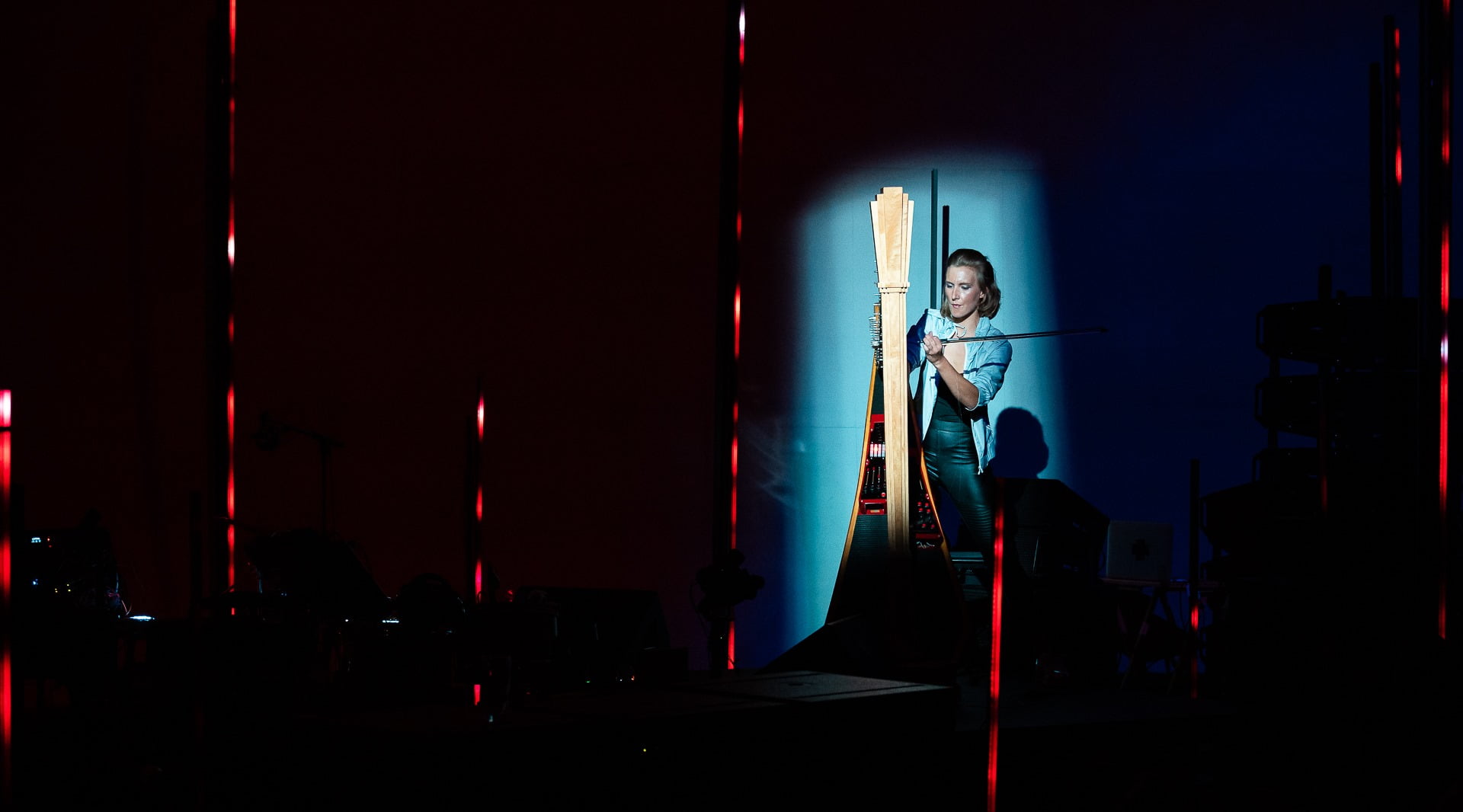 Read more about the article The Bionic Harpist, Alex Tibbitts