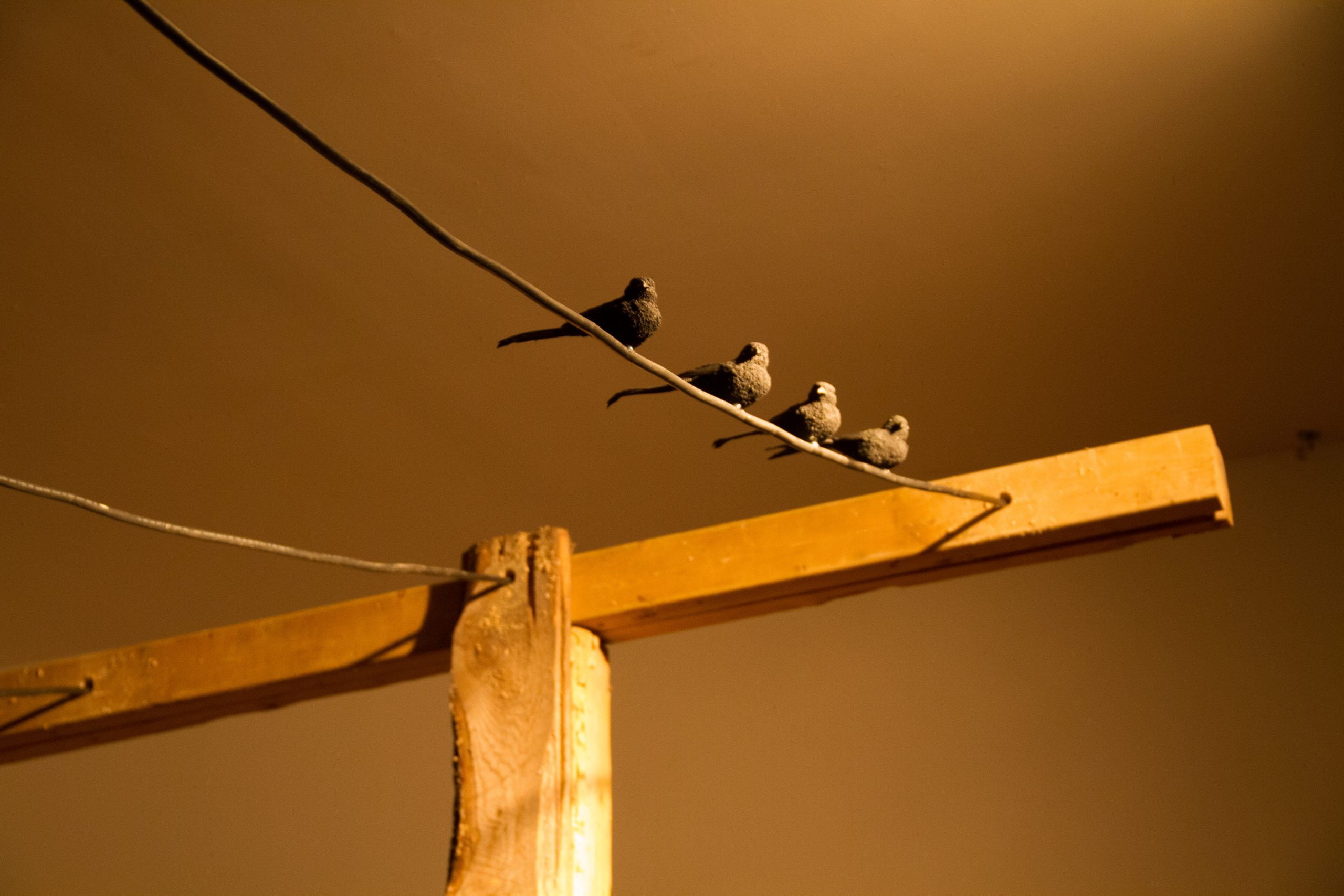 Read more about the article Sounds for Birds, François Martig