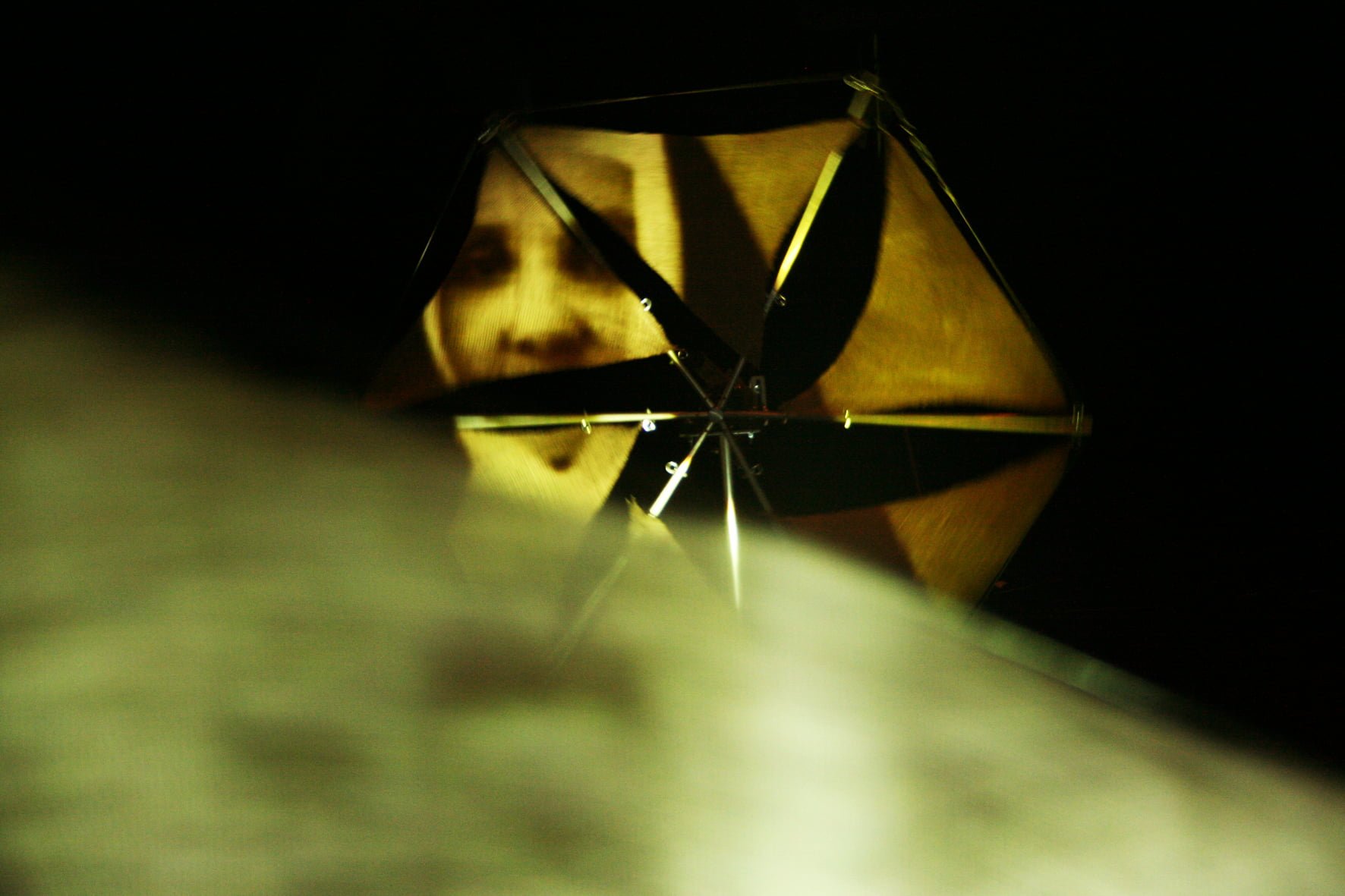 Read more about the article Noroît dans l’hippocampe, Myriam Lambert